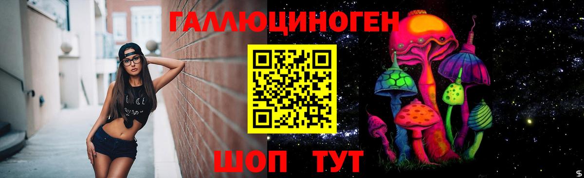 Дивногорск  Галлюциногенные грибы мухоморы  Псилоцибиновые грибы Psilocybe  Вход с VPN 